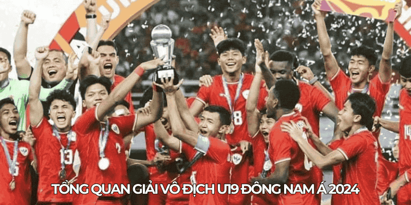 Tong quan giai vo dich U19 Dong Nam A 2024