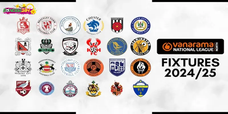 National League North: Giải đấu đầy cảm xúc của bóng đá Anh 1 national-league-north-1